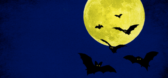 Screen Shot 2014-10-16 at 7.15.34 PM